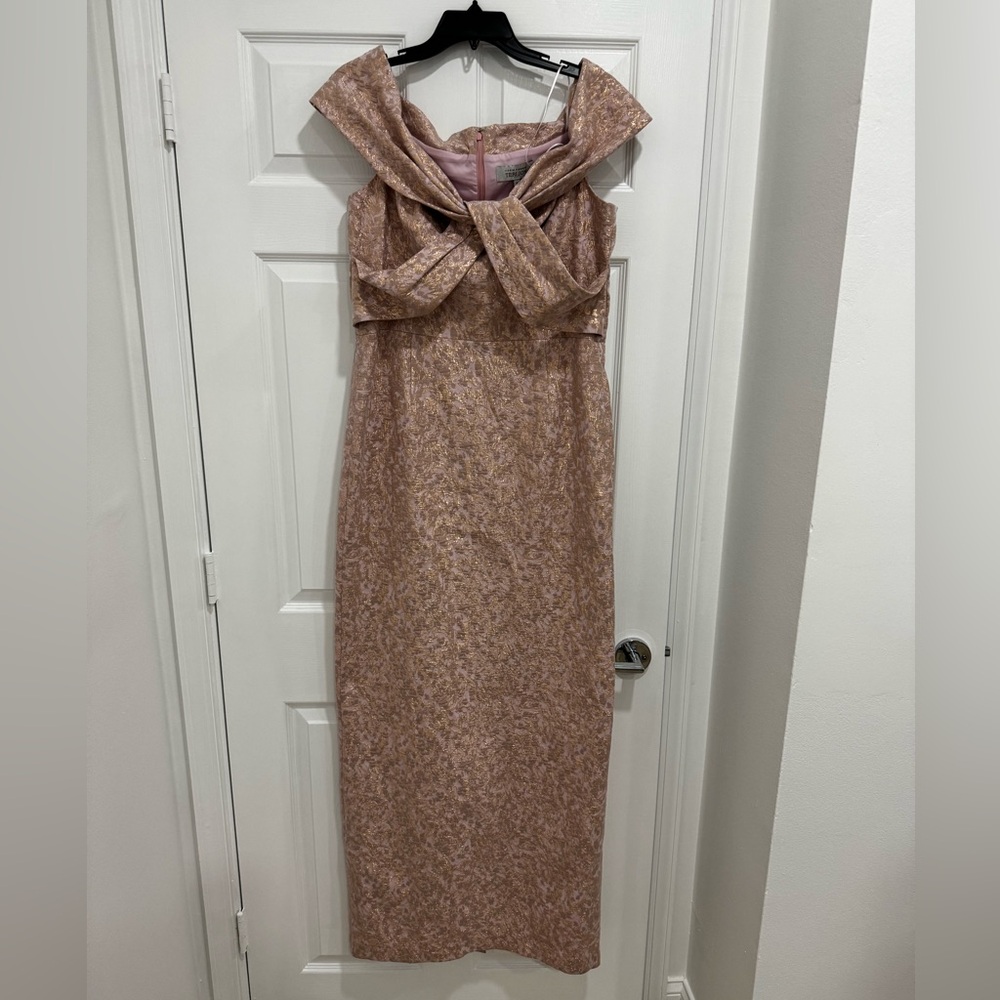 Teri John Pink and Gold Evening Gown